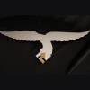 Luftwaffe Droop Tail Carved Eagle  # 3463