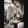 Large Scale Reich Adler in Bronze- Kurt Schmid Ehmen ( Original Cast ) # 2062