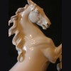 Model #95 Steigendes Pferd/Rearing Horse Allach # 470