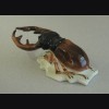 Stag Beetle ( Volkstedt ) # 863