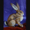 Sitting Rabbit ( Karl Tutter ) # 873