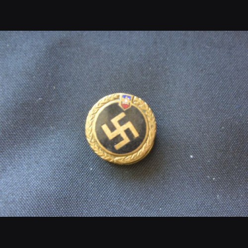 N.S.D.A.P Foreign Supporter Pin ( Chile ) # 1536