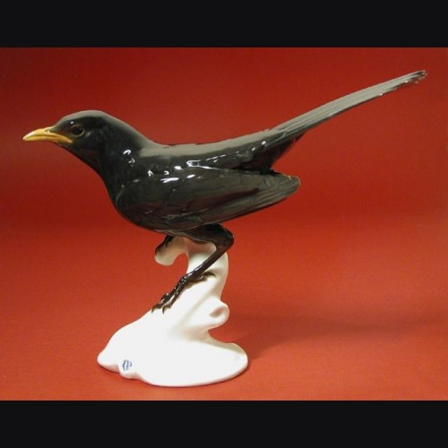 Nymphenburg Blackbird (Amsel) # 713
